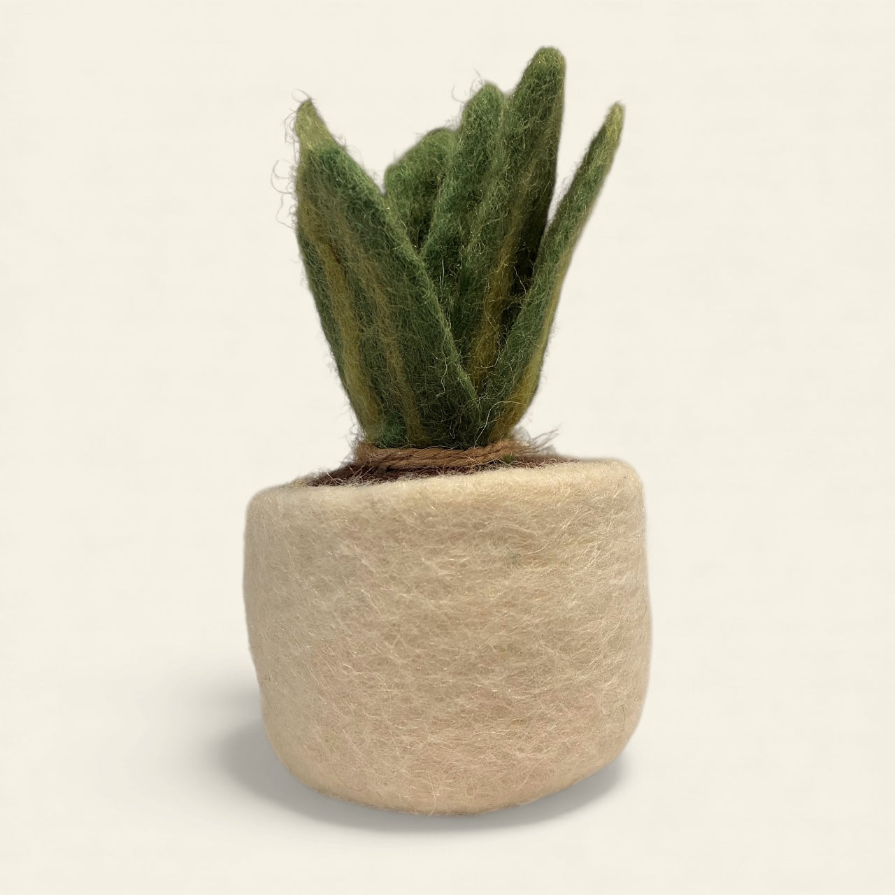 Felted plant pot with a green succulent on a beige background